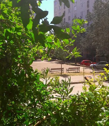 Apartment David Zadar